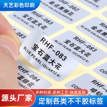 天艺亚银标签纸35-40哑银不干胶电子商品器械机器固定资产代打印