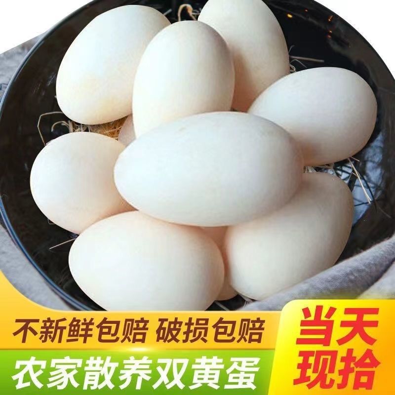 鹅蛋新鲜破损包赔农家批发双黄蛋孕妇宝宝散养现捡现发邮厂家直销