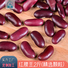 云南红腰豆紫红芸豆大红豆 今年新豆2斤精选豆 品牌工厂直供红豆