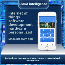 IoT APP Software Mini Program Development Hardware Motherboa
