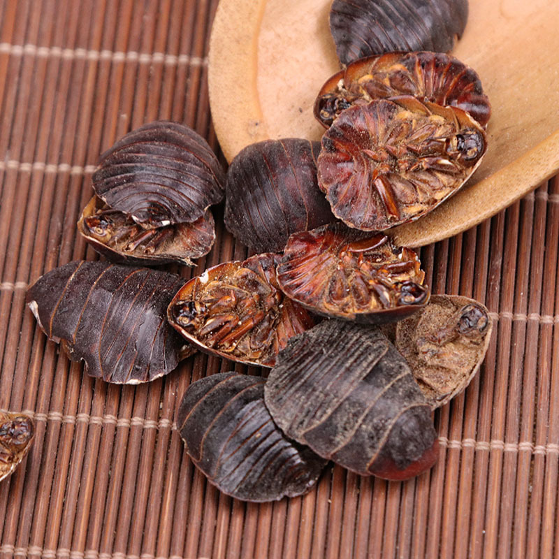 金边土元批发昆虫原药材 清水土元 土鳖虫 地鳖虫 中药材水洗土元