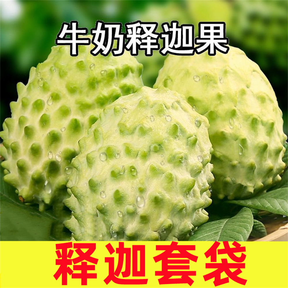 释迦果专用套袋防寒防虫袋刺果番荔枝佛头果专用防水防晒果袋批