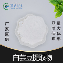 白芸豆提取物10:1 雅华生物 菜豆素 芸豆蛋白 水溶性 膳食纤维