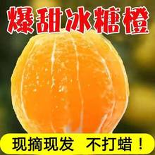 湖南麻阳冰糖橙5/10斤大果当季新鲜水果批发橙子非爱媛果冻脐批发