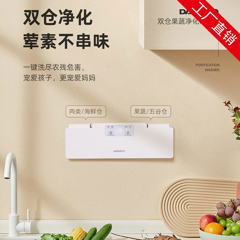daewoo/大宇双头净化果蔬菜家用超越声波洗菜食材清洗机 dy-jh01