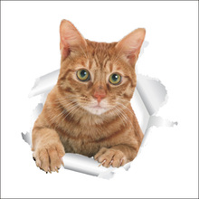 新款创意3d立体小猫小狗破墙装饰卫生间马桶贴盖笔记本贴画墙贴纸