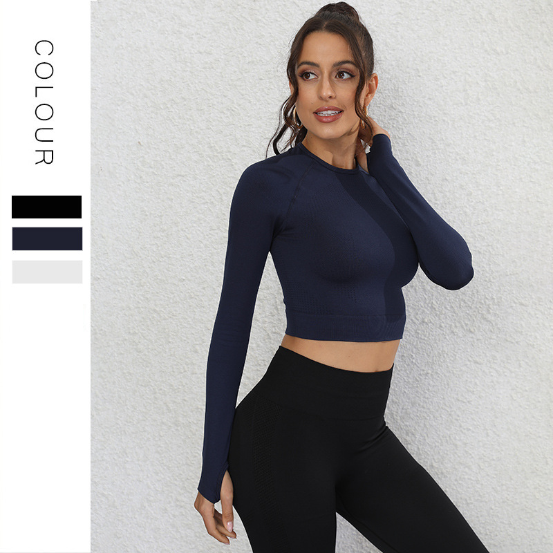 Processing Custom Cross-Border Foreign Trade New Yoga Long Sleeve T-shirt Tight Stretch Crew Neck Yoga Workout Clothes Top