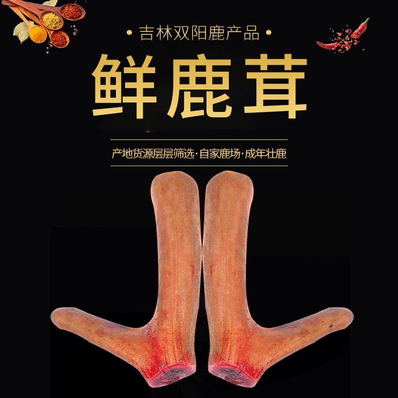 鲜鹿茸新鲜