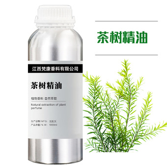 厂家直供澳洲茶树油单方精油天然植物提取蒸馏互叶白千层精油批发