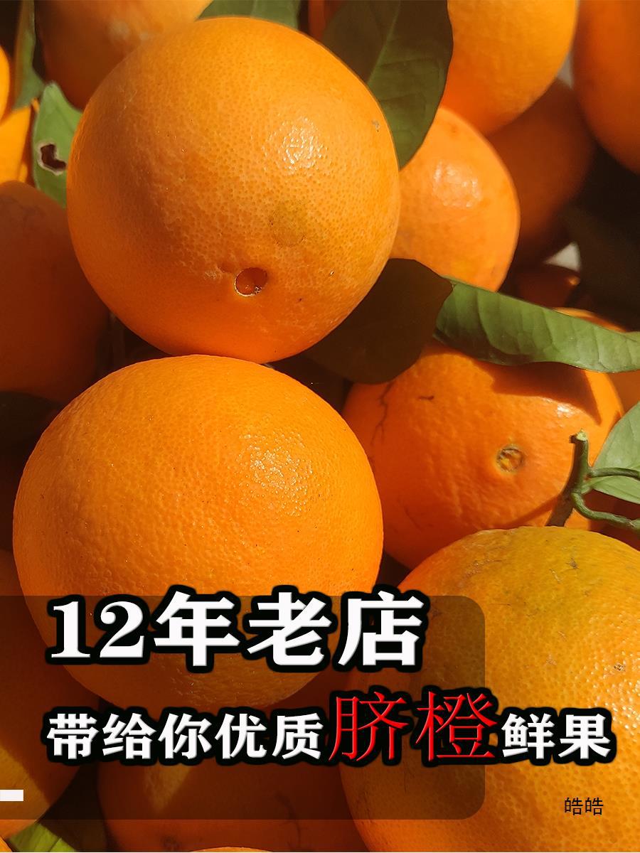 现摘新鲜纽荷尔脐橙子整箱5斤9斤当季水果果冻冰糖赣发货湖南包邮