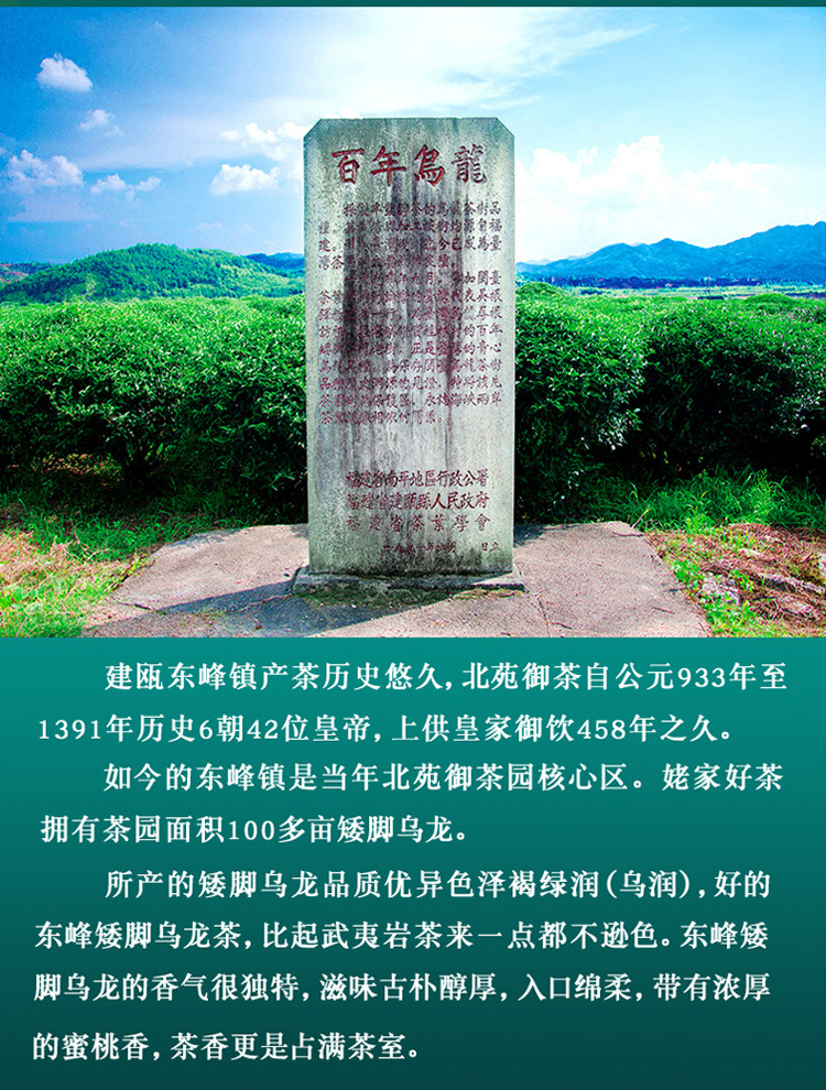 建瓯东峰北苑贡茶百年矮脚乌龙特级高档浓香型大红袍茶叶厂家批发