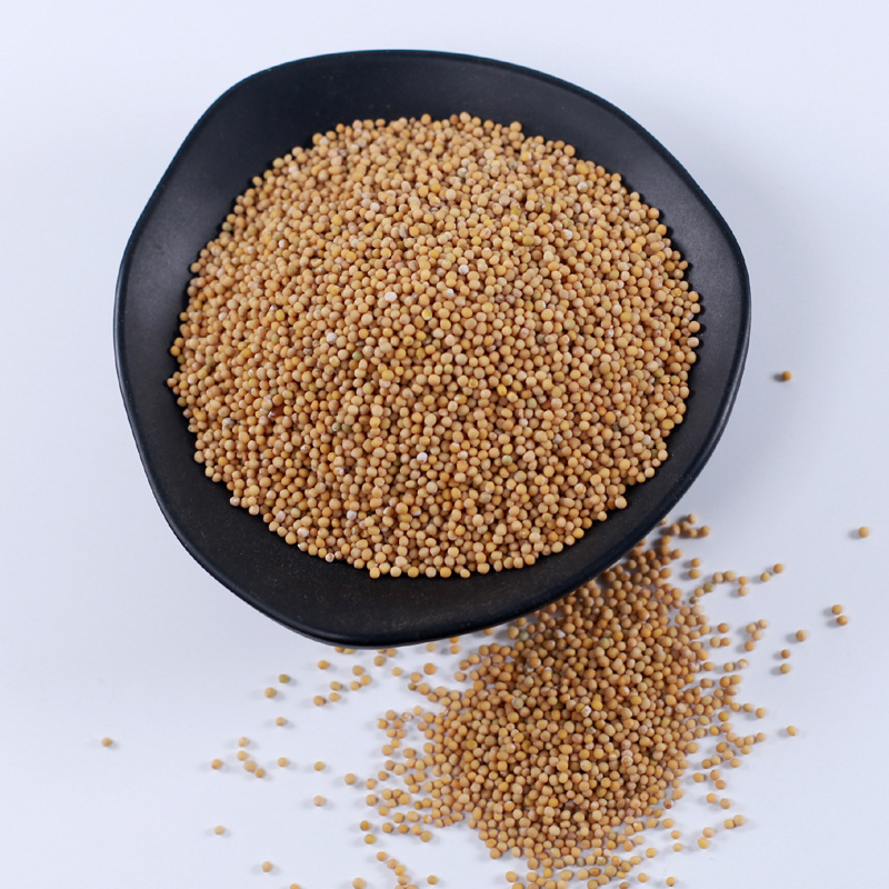 白芥子500g散装白介子辣菜子芥菜子中药材白芥籽茶另有炒白芥子粉