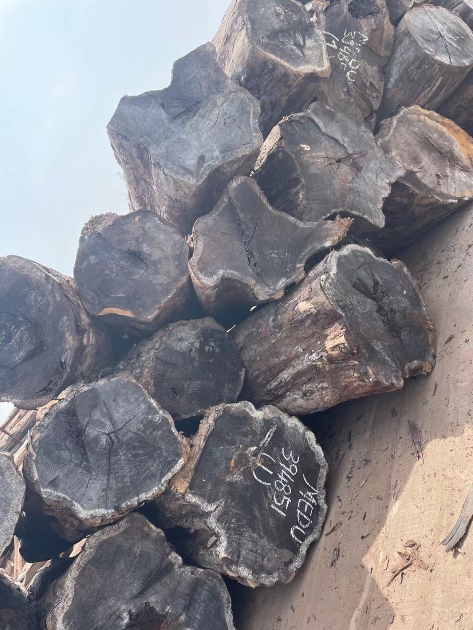 莫桑比克大径沉贵宝 东非酸枝 红贵宝板材 黑檀木料 学名古夷苏木