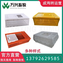塑料鸡笼 运输鸡笼鸭料价格 纯原料家禽运输笼加厚型厂家供应