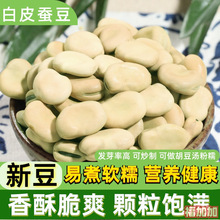 新货白皮干蚕豆5斤农家生的蚕豆新鲜干货馋胡豆可发大蚕豆芽苗菜
