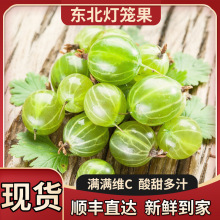 东北国光小苹果3/5/8斤大连瓦房店特产果光新鲜水果酸甜孕妇_阿里巴巴