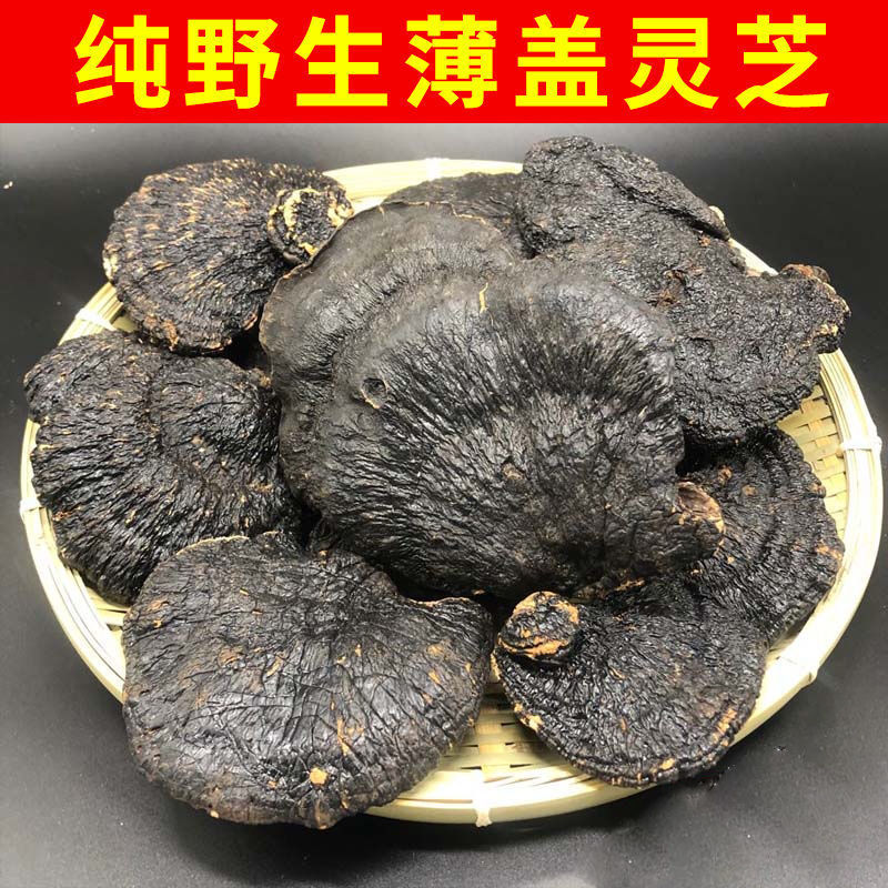 薄盖灵芝云南野生薄盖灵芝 薄树灵芝薄树芝正品整枝可选切块