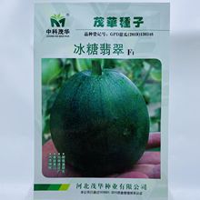 批发中科茂华瓜果种子甜美甜妃黄脆梨香瓜甜瓜超甜肉厚早熟抖音爆