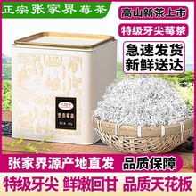 张家界莓茶芽尖正宗特级龙须莓茶2023纯野生莓茶永顺茅岩霉茶藤茶