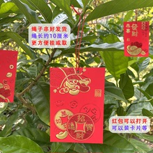 挂绳挂树装饰小红包新年盆景布置挂件发财树带红绳春节植物利