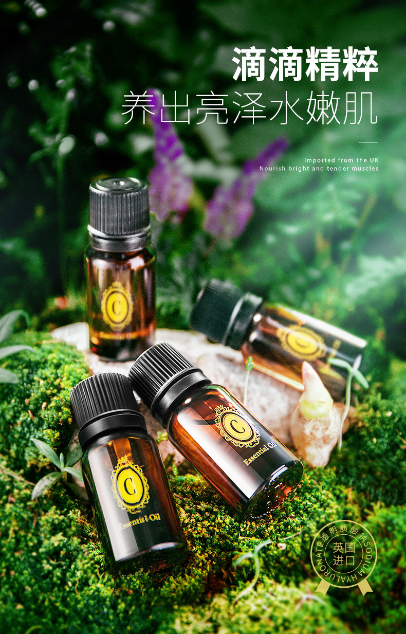 仙蒂奈儿薰衣草玫瑰艾叶生姜面部精油身体姜油美容院按摩精油批发