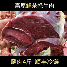 牛腱高原牦牛肉新鲜原切冰鲜装冷冻牛肋里脊后腿牛腩顺丰一件批发