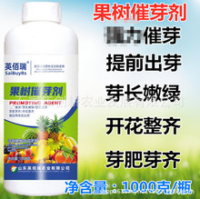 英佰瑞果树催芽剂1000g克催芽壮芽素柑橘茶叶多爆芽生长素叶面肥