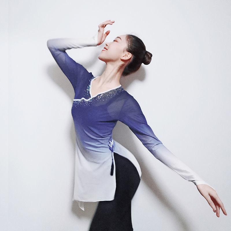 纱衣舞蹈服古典单色舞韵瑜伽服古典舞练功服女身韵舞现代形体瑜