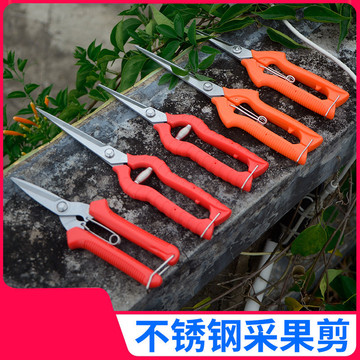 稀果采摘剪刀疏果园艺细枝锯子剪葡萄树槟榔桔子柑橘修花剪-阿里巴巴