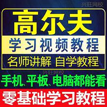 视频教程golf零课程高尔夫球合集学习自学教精通学打新手入门基础