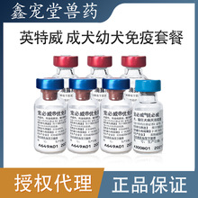 进口英特威六联疫苗 优免康 乐必妥犬用6联狗幼犬钩端防疫_阿里巴巴找