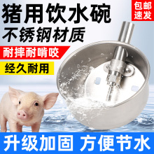 碗式饮水器母猪管子猪用饮水自动小猪仔碗加厚式小猪喝水嘴饲养