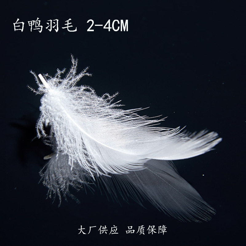 优质鸭毛