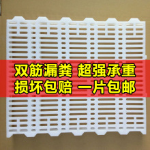 塑料漏粪板养殖场猪羊狗兽用漏屎板仔猪保育床母猪产床漏粪网包邮