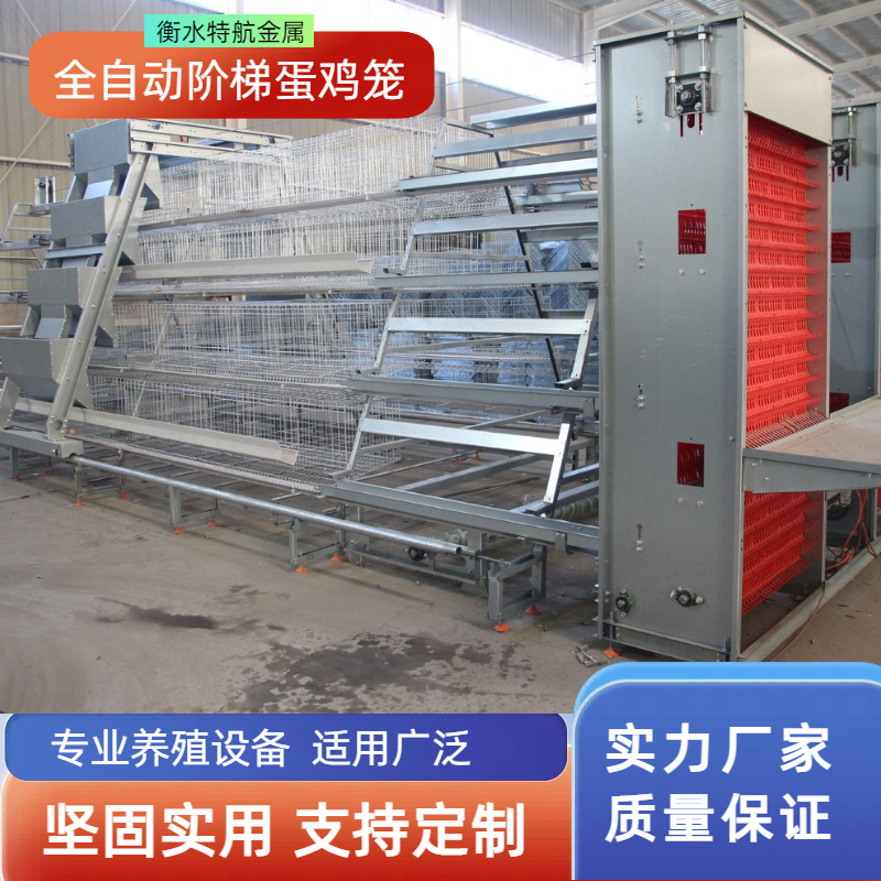 全自动阶梯蛋鸡笼加背负式喂料机捡蛋机自动集蛋系统自动喂料系统