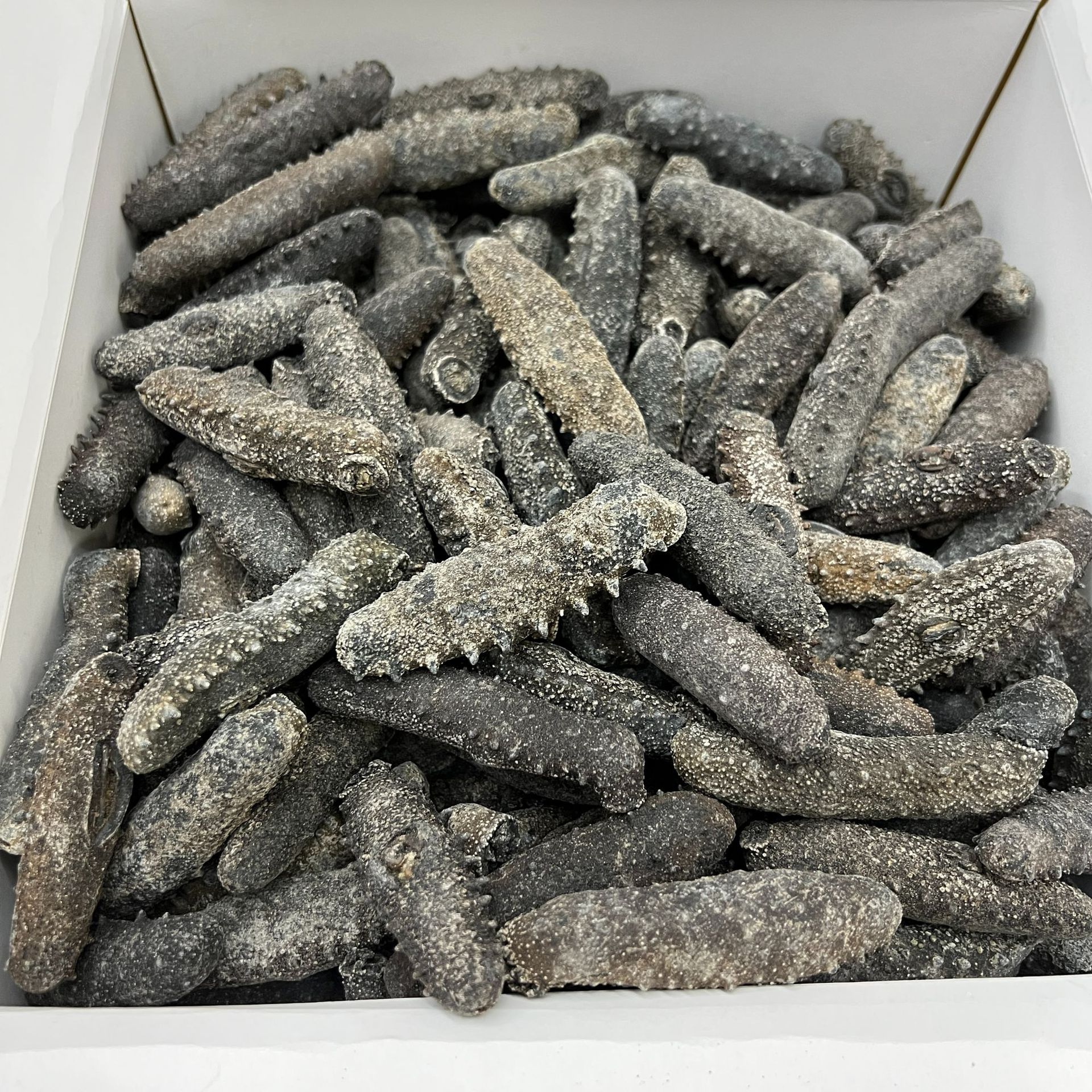 日本北海道天然野生关西参海参干货直销纯淡干辽刺参20-300头