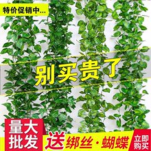 葡萄叶藤条藤蔓植物树叶子管道吊顶装饰花藤假花塑料绿叶缠绕