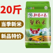射阳新大米10公斤新米南方农家粳米香米软糯香蟹田稻米10kg