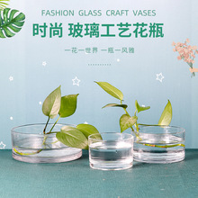 现货供应圆形水培花盆透明玻璃花瓶创意水培植物园艺养殖盆