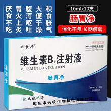 兽药兽用肠胃净 维生素B6注射液 B6针剂促食健胃呕吐通便VB6宠物