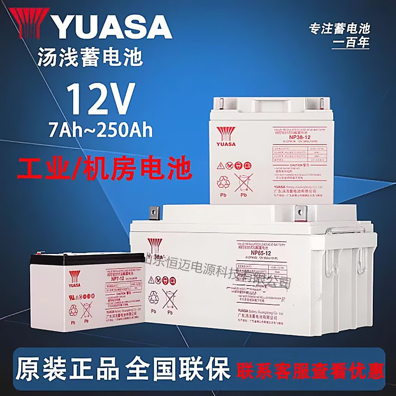 汤浅蓄电池NP12-100 12 24 38 65 120AH通信机房UPS/EPS电源专用