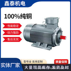 YE3三相交流马达异步电动空压机机械设备低嗓音电机厂家直供