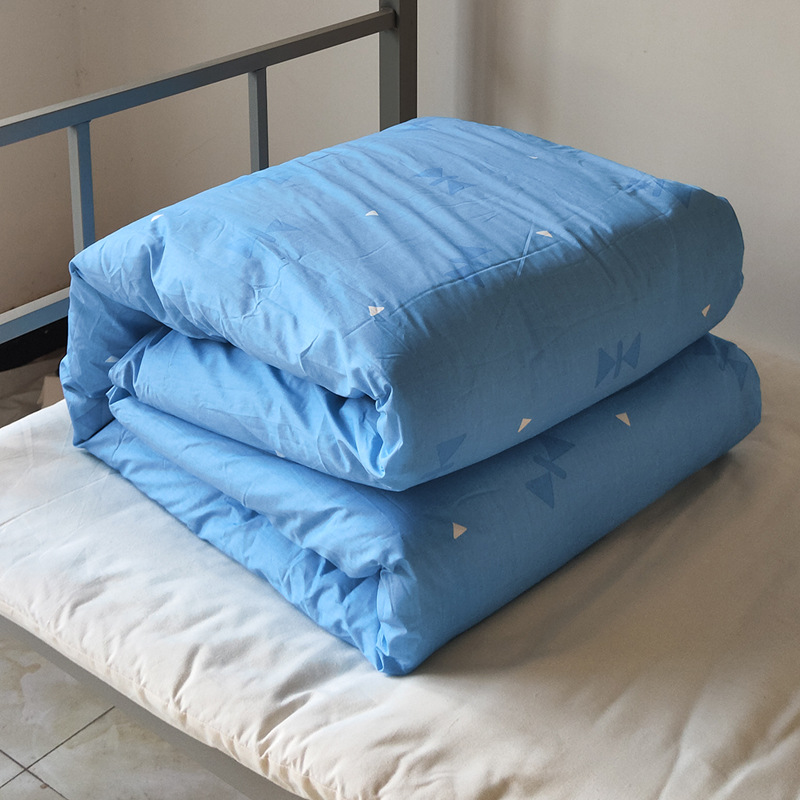 救灾应急棉被褥子内务被棉花被子学生军训用棉被冬季物资救灾棉被