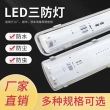 LED三防灯T8 防水防尘单双管全套长条支架灯管带罩日光灯架荧光灯