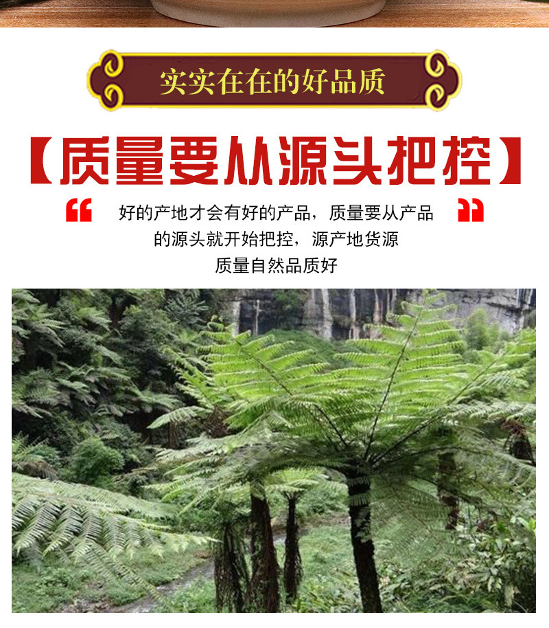龙骨风中药材500g 大贯众 飞天擒罗 飞天蠄蟧 山卡捞劳 冷背大全