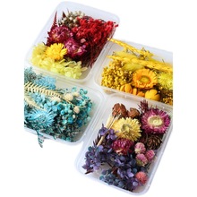 3ZBY馥蕾 diy植物干花材料 混合干花材料包 手工香薰蜡牌相框装饰