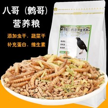 八哥鹩哥画眉百灵鸟饲料专用营养开口粮灌装饲料黑八海八主粮零食