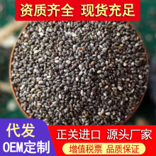 墨西哥进口奇亚籽批发奇亚子代餐 工厂货源 批发代发500g 正关