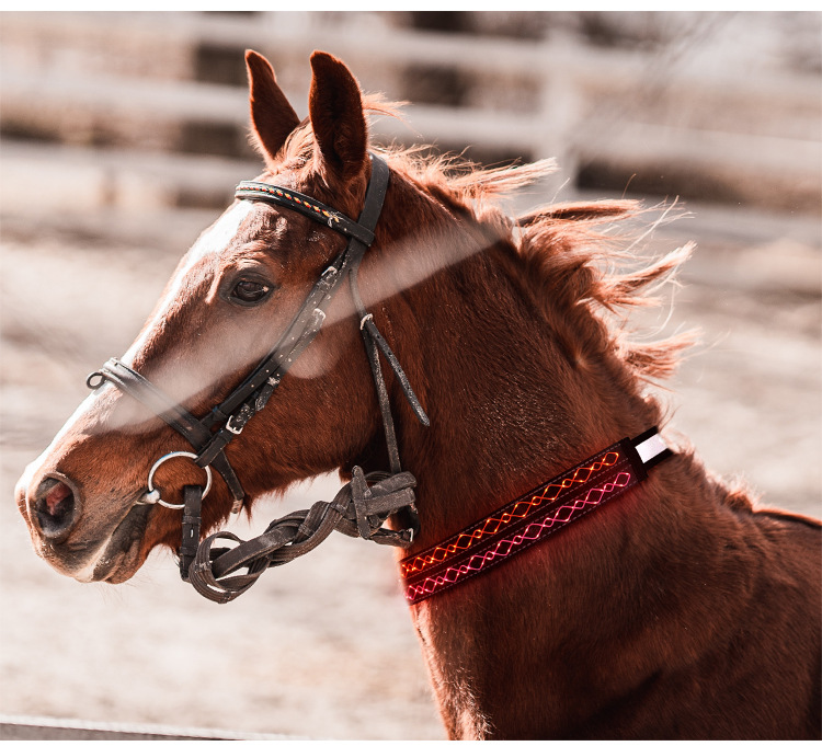 2021年新款源头厂家跨境led艺术绳绣发光马脖套usb充电马术用品