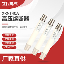 熔断器 XRNT40A 高压高分段能力限流熔断器 10KV/6.3/30/4 0A